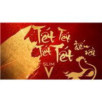 Bán vé máy bay tết Sài Gòn đi Vinh ở Trà Vinh